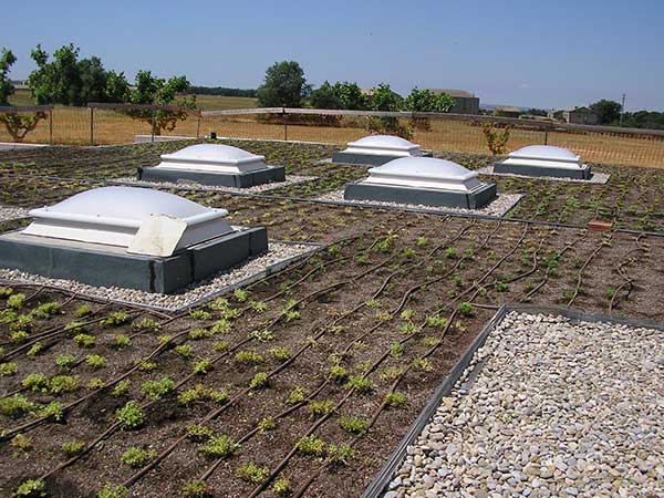 Cobertes vegetals