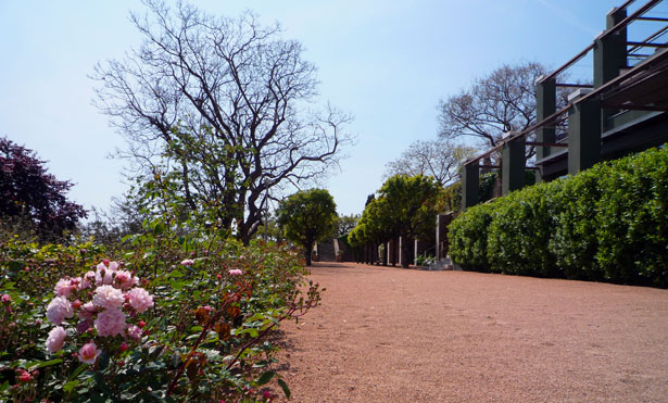 JardinesBarcelona.es