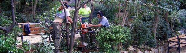 Jardines p&uacute;blicos