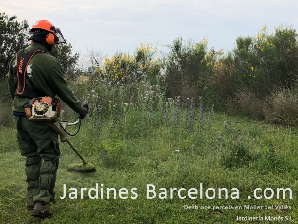 Esbrossa de parcel�la i terreny realitzada pels jardiners de Jardineria Mon�s amb mitjans mec�nics a Badalona, Barcelona