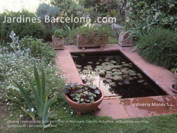 Dise�o de jard�n particular con arbustiva y prado. Jardineria Mon�s ha construido este estanque con plantas acu�ticas. Realizado en el Maresme, Cabrils.