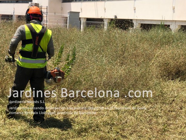 Jardiners realitzant esbrossada de parcel�la industrial a Gav�, provincia de Barcelona i comarca del Baix Llobregat