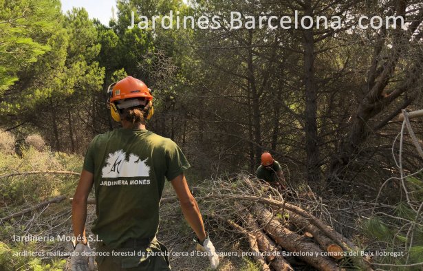 Jardineros realizando desbroce forestal de parcela en Esparraguera, provincia de Barcelona y comarca del Baix Llobregat
