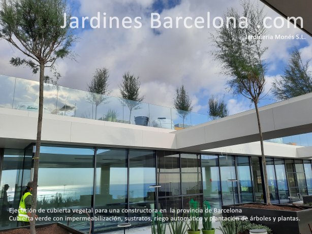 Jardineria Mon�s ejecutando una cubierta vegetal para una constructora en Barcelona. Cubierta verde extensiva e intensiva con impermeabilizaci�n, sustratos, riego autom�tico y plantaciones de �rboles y plantas