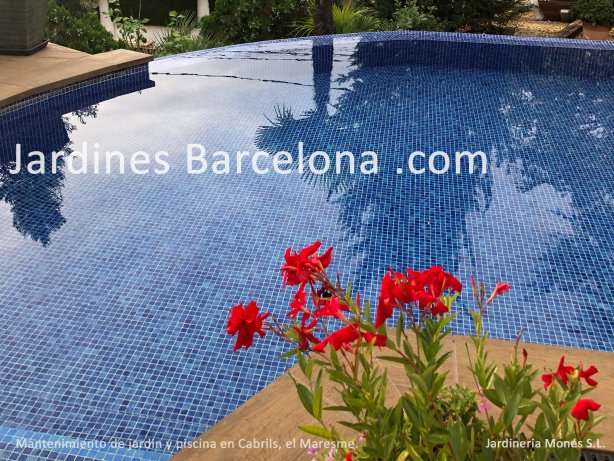 A Jardineria Mon�s fem manteniments de tot tipus de pisicines, estanys i basses a Barcelona, el Maresme, el Vall�s i al Baix Llobregat