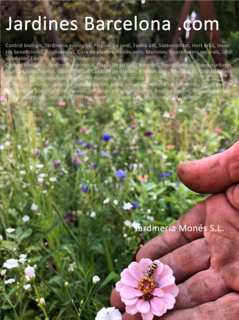 Biological control, organic gardening, garden pests, beneficial insects, sustainability, urban garden, biodiversity, plant care, zero waste, ladybugs, natural predators, healthy garden, ecological balance, bioinsecticide, integrated pest management. Barce