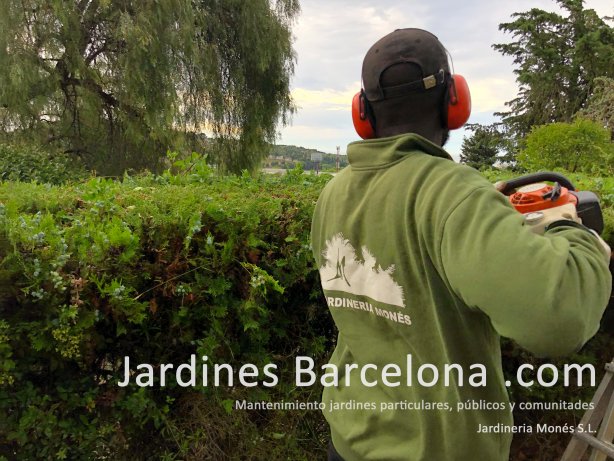 En Jardineria Mon�s ofrecemos servicio de mantenimiento de su jard�n, patio, terraza o balc�n. A Barcelona, Badalona, Alella, Montgat, Masnou, Tiana?