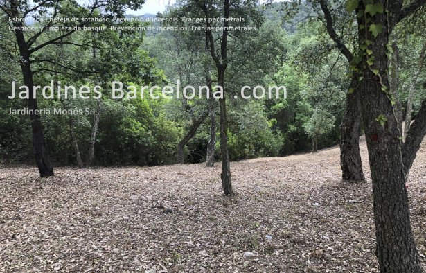 Jardineria Mons ofereix serveis  de esbrossada forestal de parcelles i terrenys, tant pblics com privats. Realitzem esbrossades a Barcelona, el Maresme, Baix Llobregat i al Valls 
