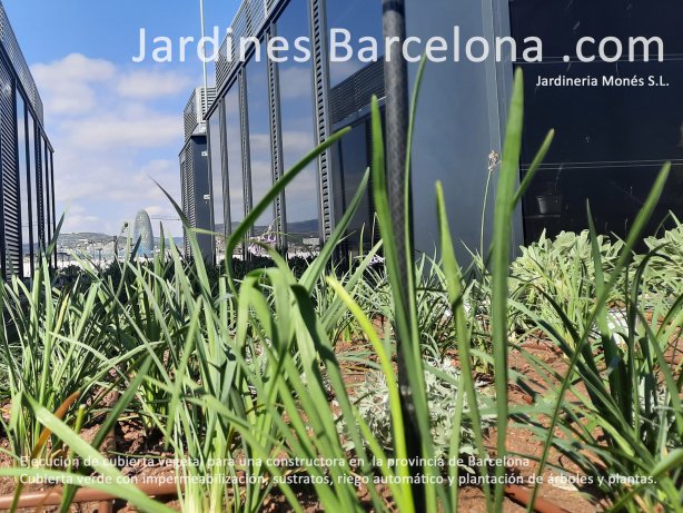 Execuci� de coberta vegetal i verda en un edifici per a una constructora a Barcelona amb l�mines drenants, malles, gaves, substrats i plantacions.