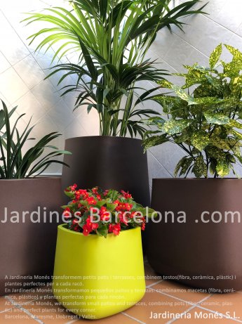 A Jardineria Mon�s transformem petits patis i terrasses, combinem testos(fibra, cer�mica, pl�stic) i plantes perfectes per a cada rac�. Barcelona, Maresme, Llobregat i Vall�s.