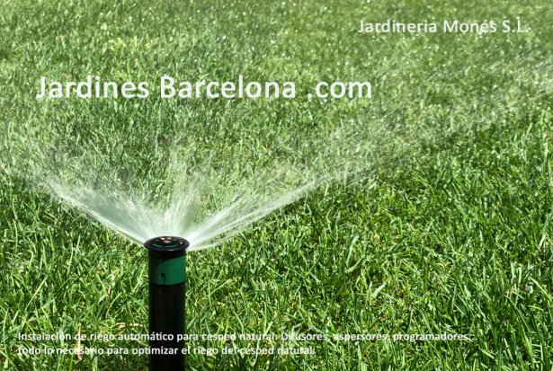 Jardiner�a Mon�s: especialistas en instalaciones de riego autom�tico por goteo o difusores y aspersores. Montaje de riego para c�sped natural en Alella, el Maresme, Barcelona