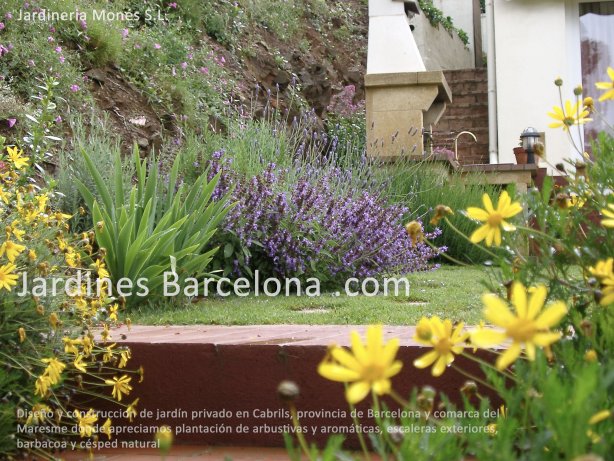 Jardineria Mon�s ha realizado el dise�o y construccion de este jard�n privado en Cabrils, provincia de Barcelona y comarca del Maresme donde apreciamos plantaci�n de arbustivas y arom�ticas, escaleras exteriores, barbacoa y c�sped natural
