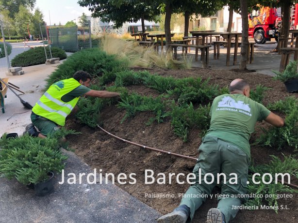 Ejecucin de proyectos de paisajismo. Jardinera tcnica de diseo del espacio pblico verde. Barcelona