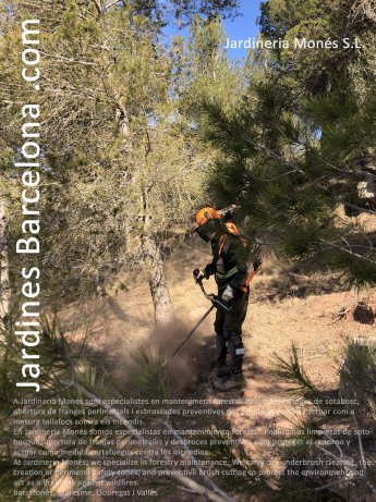 En Jardineria Mon�s somos especialistas en mantenimiento forestal. Realizamos limpiezas de sotobosque, apertura de franjas perimetrales y desbroces preventivos para proteger el entorno y actuar como medida cortafuegos contra los incendios. Barcelon�s, Mar