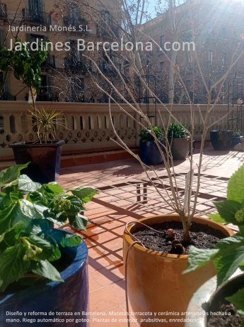 Projecte de reforma i disseny de terrassa a Barcelona. Testos de terracota i cermics fets a m. Reg automtic per goteig. Planta enfiladissa, suports enfiladisses. Planta arbustiva, planta amb flor.