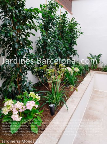disseny de terrasses, paviment, parterre, vegetaci, illuminaci exterior, mobiliari d?exterior, jardineria, paisatgisme, plantes arbustives, plantes enfiladisses, prgola, font exterior. Badalona, Barcelona, Esplugues, Sant Cugat, Sant Fost