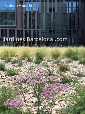 Construcci� de tot tipus de cobertes verdes, vegetals i enjardinades a Barcelona, Baix Llobregat, Vall�s, Maresma, Girona..