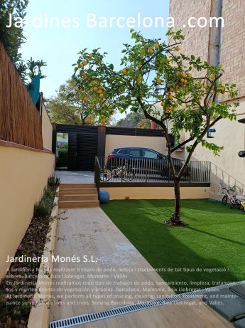 En Jardineria Mon�s realizamos todo tipo de trabajos de poda, saneamiento, limpieza, tratamientos y mantenimiento de vegetaci�n y �rboles. Barcelona, Maresme, Baix Llobregat i Vall�s.