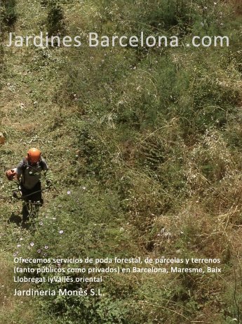 Jardineria Mon�s ofereix serveis  de esbrossada forestal de parcel�les i terrenys, tant p�blics com privats. Realitzem esbrossades a Barcelona, el Maresme, Baix Llobregat i al Vall�s 