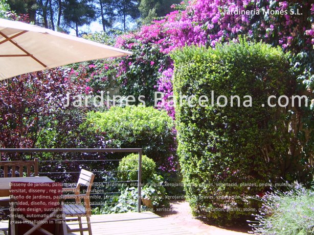 Dise�o de jardines, paisajismo sostenible, jardiner�a, ahorro de agua, xerojardiner�a, gravas, vegetaci�n, plantas, piedra, mulch, biodiversidad, dise�o, riego autom�tico, paisajes. Barcelona, Badalona, Tei�, Matar�, Esplugues, Sant Cugat.