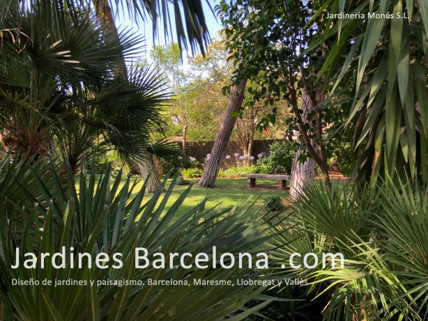 Proyecto de paisajismo de Jardineria Mon�s. Dise�o, ejecuci�n i mantenimiento de jard�n en Sant Andreu de Llavaneres en el Marseme, Barcelona.
