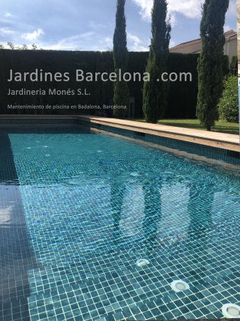 Mantenimiento de jardines y piscinas en Barcelona, Maresme, Baix Llobregat y Vall�s.