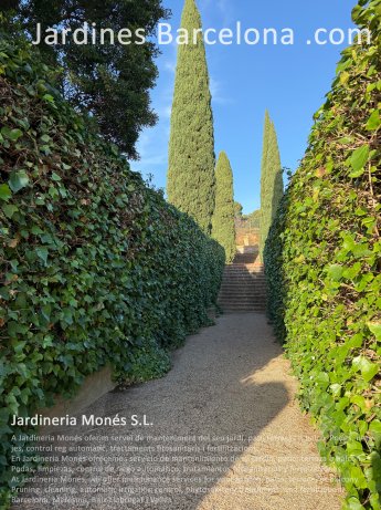 En Jardineria Mon�s ofrecemos servicio de mantenimiento de su jard�n, patio, terraza o balc�n. Podas, limpiezas, control de riego autom�tico, tratamientos fitosanitarios y fertilizaciones. Barcelona, Maresme, Baix Llobregat i Vall�s
