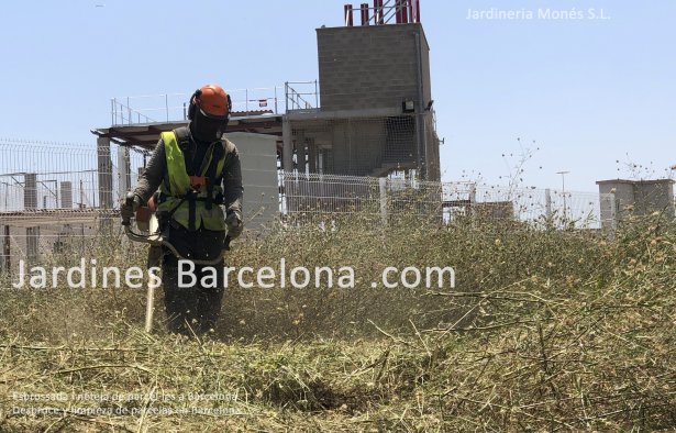 Desbroce de parcela con medios manuales y mecnicos. Trabajos de jardinera forestal contra-incendios. El Prat de Llobregat, Barcelona