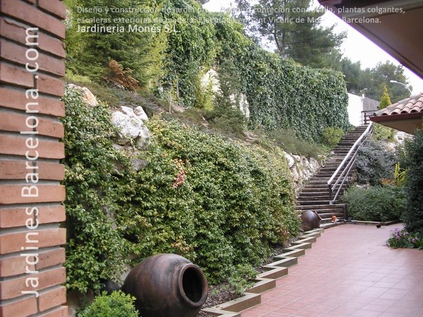 Disseny de jard� particular a Sant Vicen� de Montalt. Planta enfiladissa i penjant, escales exteriors de fusta i mur de rocalla.