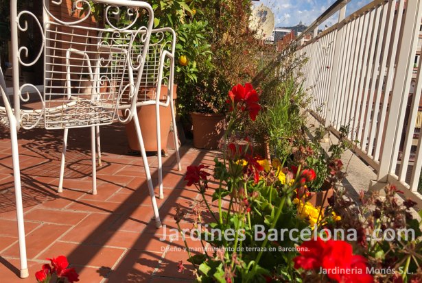 Disseny de terrassa exterior. Testos plantes reg i manteniment a Barcelona