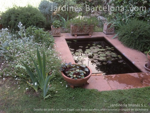 Jardineria Mones ha dise�ado  este jardin en Sant Cugat, provincia Barcelona y comarca el Valles donde podemos apreciar una balsa estaco piscina, plantacions i cesped natural dichondra