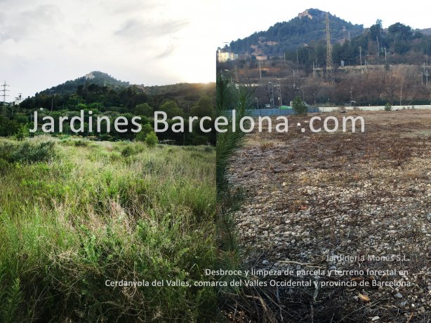 Esbrossa de parcel�la i terreny realitzada pels jardiners de Jardineria Mon�s amb mitjans mec�nics a Cerdanyola del Valles, comarca del Valles Occidental i provincia de Barcelona