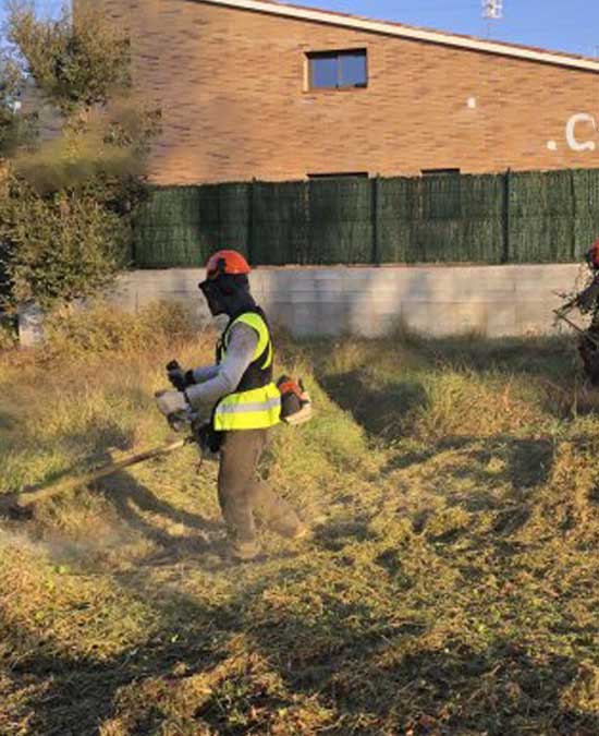 Servicios jardineria